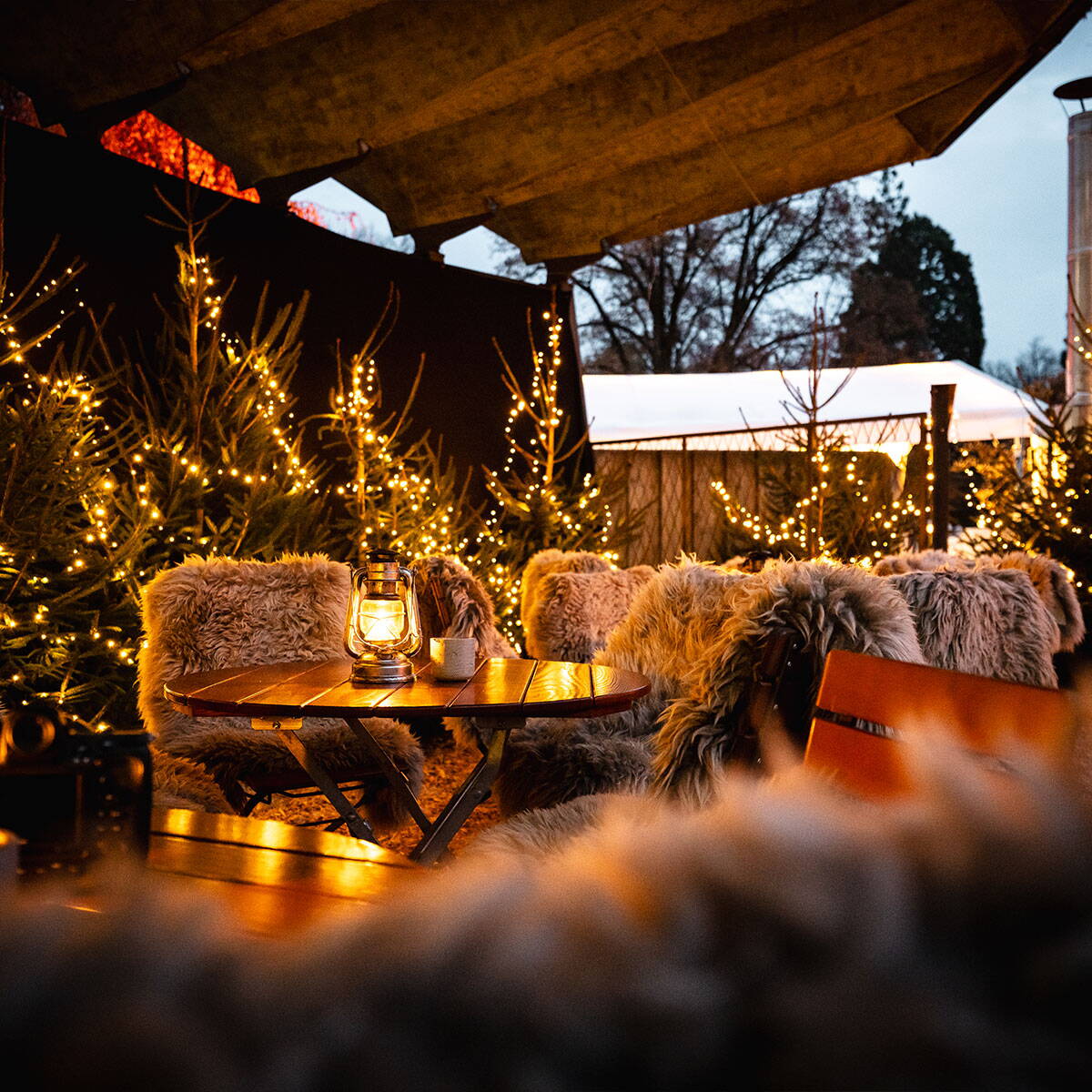 Wintialp Platzhirsch